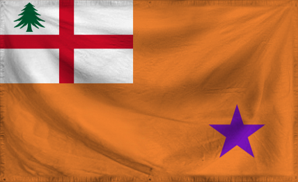 WA Delegate Flag 2